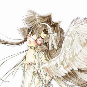 Meet your Posher, Meow